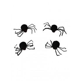 4 kleine spinnen